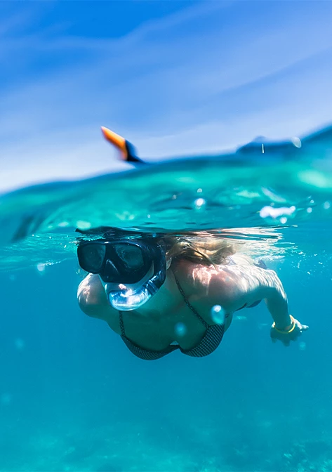 Unlimited Snorkeling